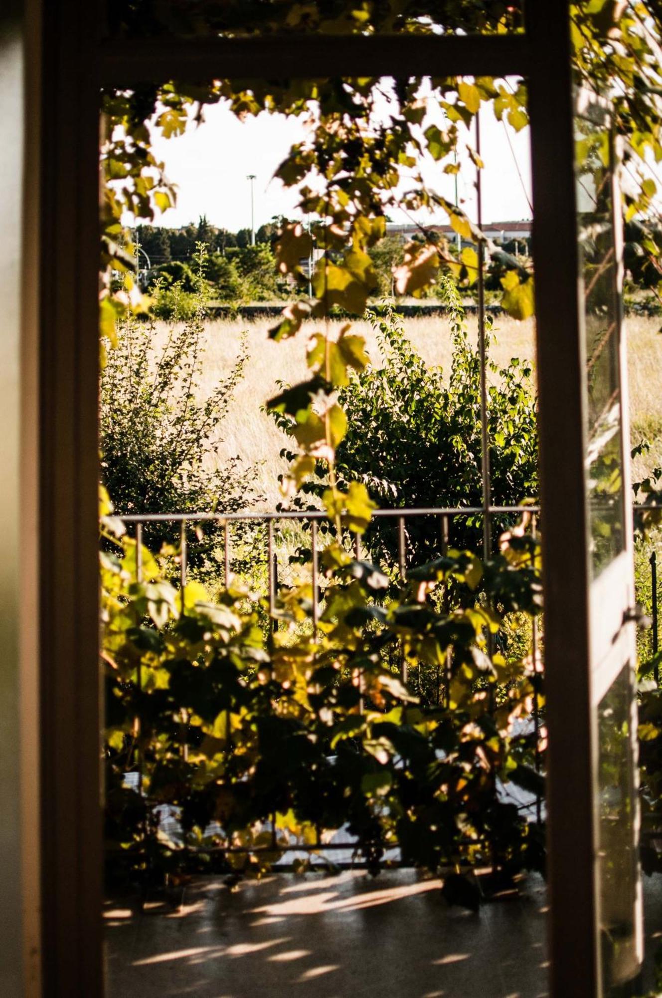 Buonocore Guesthouse Bergamo Ngoại thất bức ảnh
